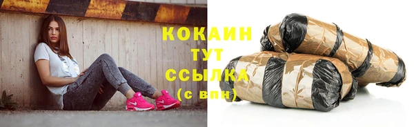 стаф Сафоново