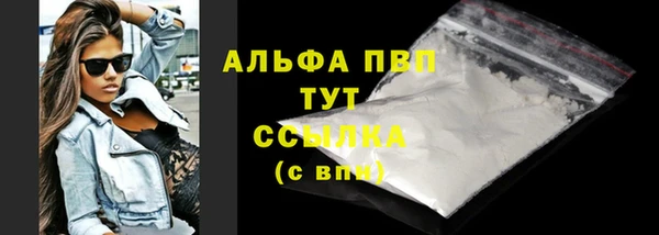 стаф Сафоново