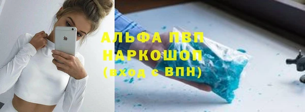 стаф Сафоново