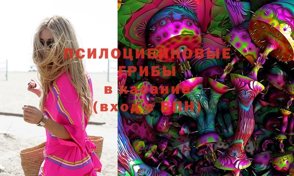 стаф Сафоново