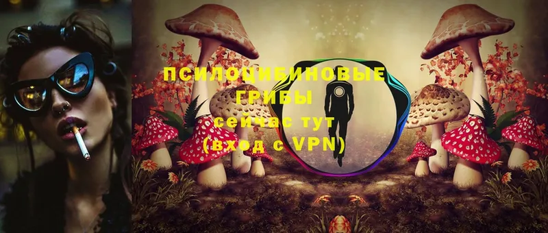 Псилоцибиновые грибы Cubensis  Туймазы 